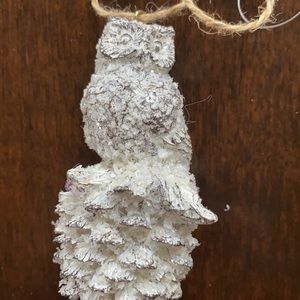 Snowy Owl natural wonders ornament (Firm price)